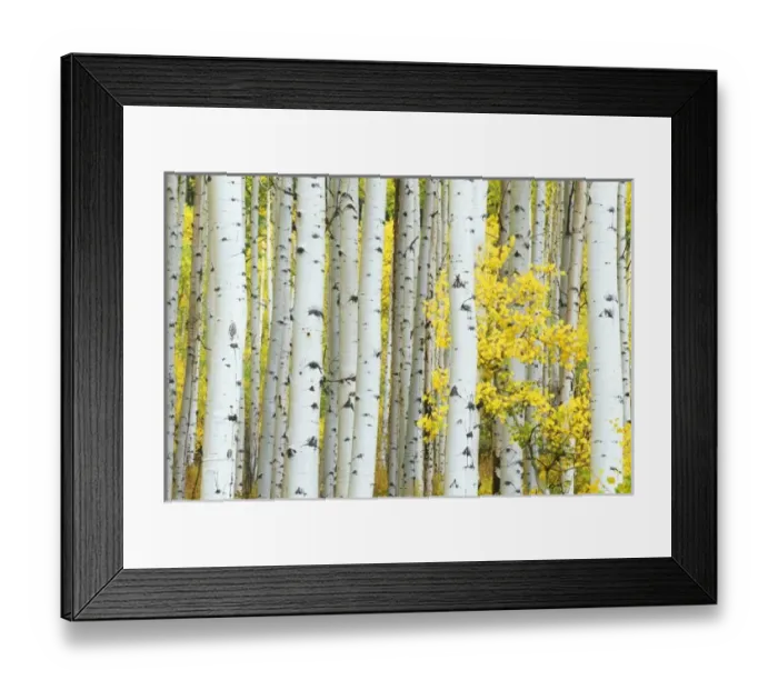 Framed Print : USA, Colorado Framed Print : USA, Colorado