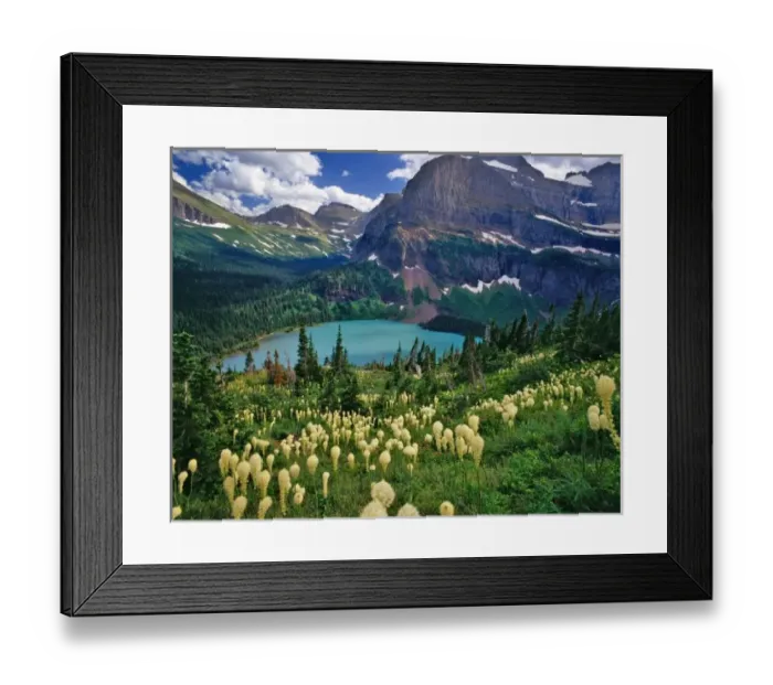 Framed Print : Beargrass above