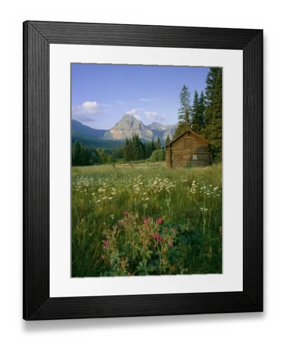 Framed Print : Old Park Service Framed Print : Old Park Service