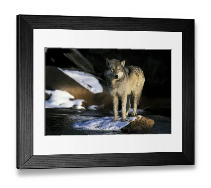 Framed Print : USA, North America, Minnesota Framed Print : USA, North America, Minnesota