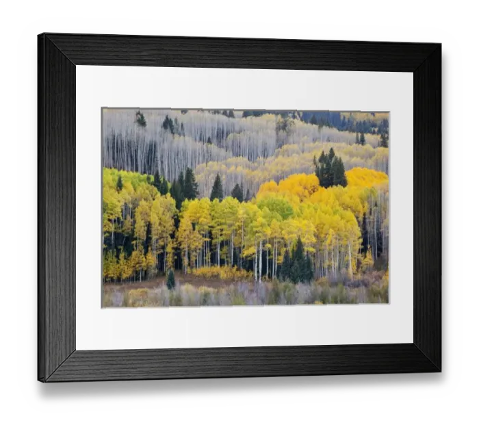 Framed Print : USA, Colorado Framed Print : USA, Colorado