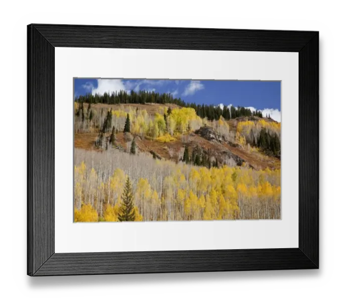 Framed Print : USA, Colorado Framed Print : USA, Colorado