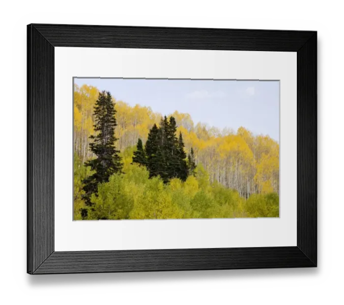Framed Print : USA, North America, Colorado Framed Print : USA, North America, Colorado