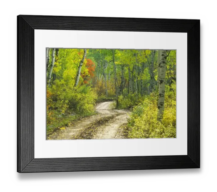 Framed Print : Road with autumn Framed Print : Road with autumn