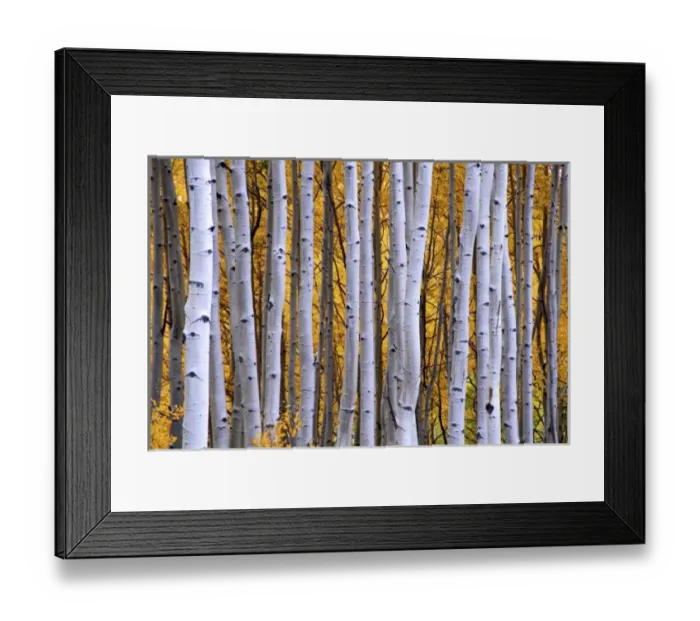 Framed Print : USA, North America, Colorado Framed Print : USA, North America, Colorado