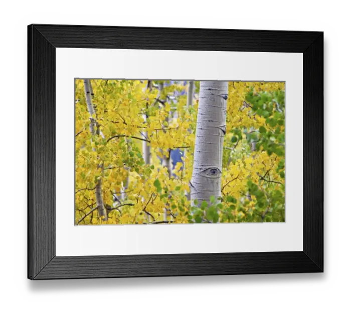 Framed Print : USA, North America, Colorado Framed Print : USA, North America, Colorado