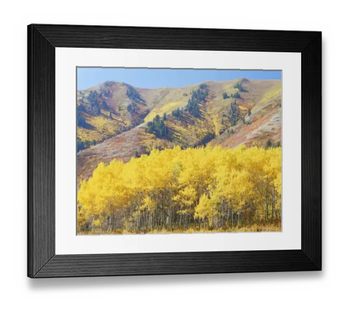 Framed Print : USA, Utah, Wasatch-Cache Framed Print : USA, Utah, Wasatch-Cache