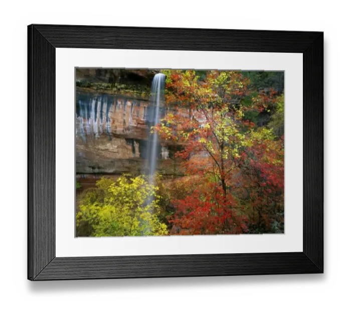 Framed Print : Waterfall, bigtooth maple (Acer grandidentatum), canyon wild grape (Vitis arizonica) and box elder