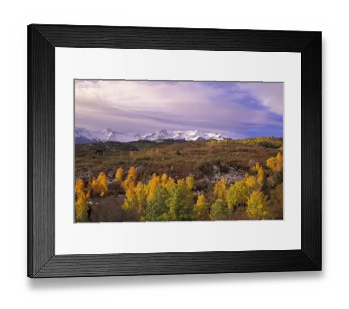 Framed Print : N. A. USA, Colorado, San Juan Mts. Dallas divide in Autumn Framed Print : N. A. USA, Colorado, San Juan Mts. Dallas divide in Autumn