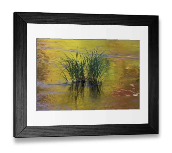 Framed Print : USA, Vermont, Green Framed Print : USA, Vermont, Green