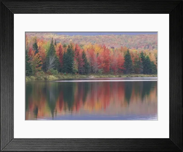 Framed Print : USA, Vermont, McAllister Lake, near Hazens Notch State Park, Mirror reflection of