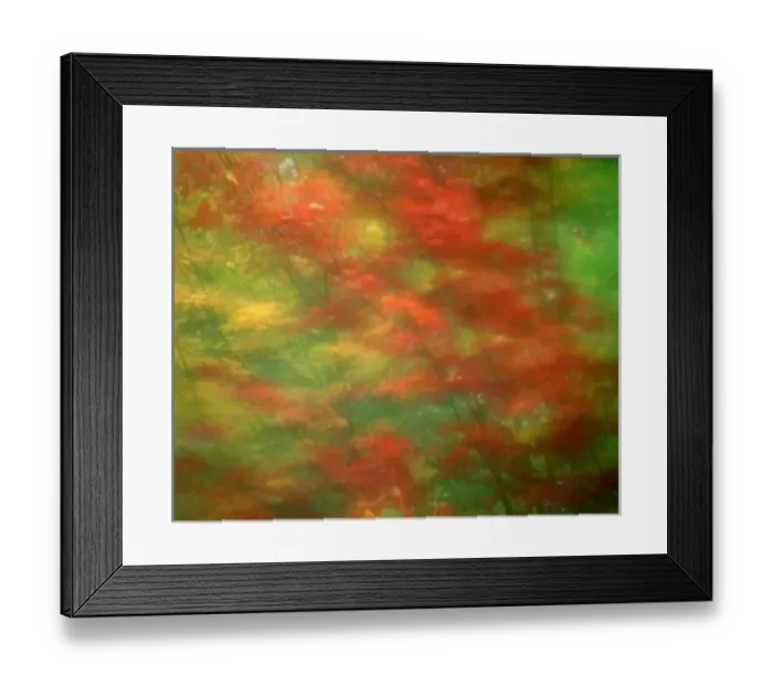 Framed Print : USA, Vermont. Abstract of maple trees seen through rainy windshield. Credit as: Jim