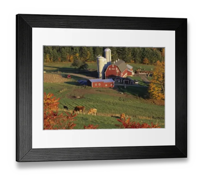 Framed Print : North America, USA, Vermont, Pomfret. Red Barn and fall foliage