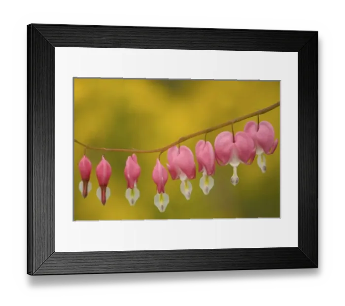 Framed Print : USA, Virginia Framed Print : USA, Virginia