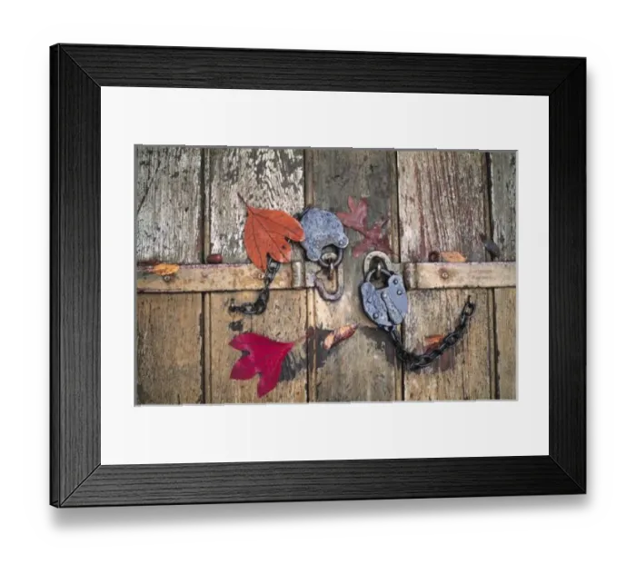 Framed Print : USA, Virginia, Williamburg. Autumn leaves cover two old locks that secure an old