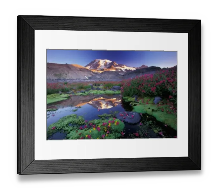 Framed Print : North America, USA, Washington, Mt. Rainier NP