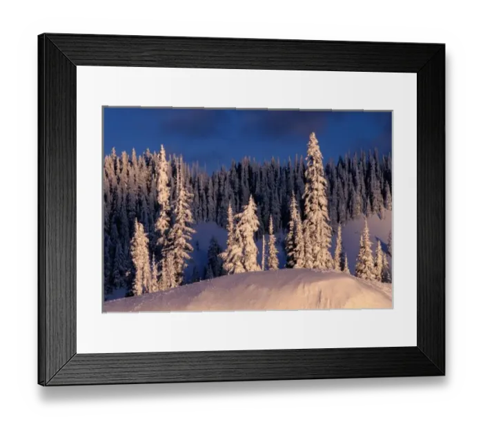 Framed Print : NA, USA, Washington, Mt. Rainier NP, Winterscape Framed Print : NA, USA, Washington, Mt. Rainier NP, Winterscape