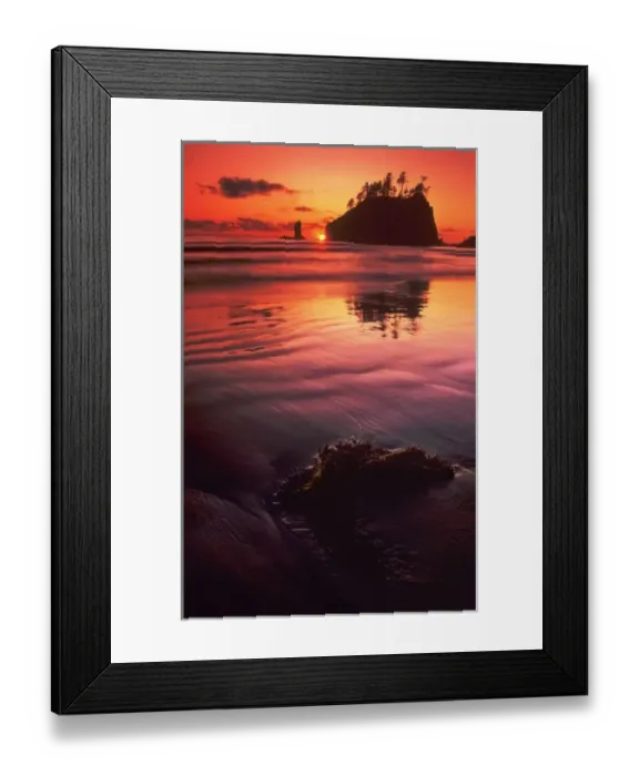 Framed Print : USA, Washington, Olympic National Park. Sunset over sea stacks and seaweed on Second Beach Framed Print : USA, Washington, Olympic National Park. Sunset over sea stacks and seaweed on Second Beach