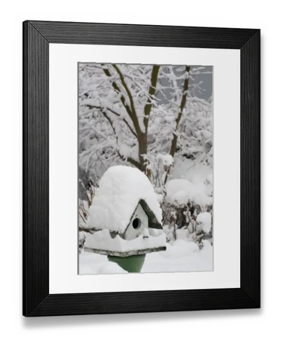 Framed Print : USA, Washington, Seabeck. Close-up of bird house covered in snow. Credit as: Don Framed Print : USA, Washington, Seabeck. Close-up of bird house covered in snow. Credit as: Don