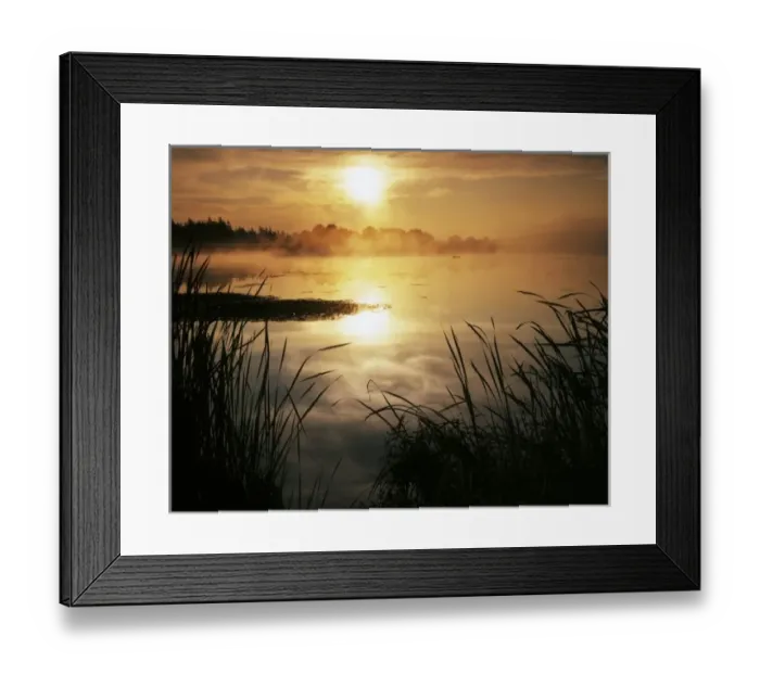 Framed Print : USA, Washington