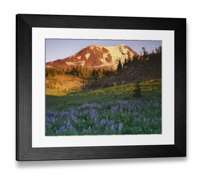 Framed Print : USA, Washington, Gifford Pinchot National Forest, Mt. Adams Wildernes, Mt. Adams Framed Print : USA, Washington, Gifford Pinchot National Forest, Mt. Adams Wildernes, Mt. Adams