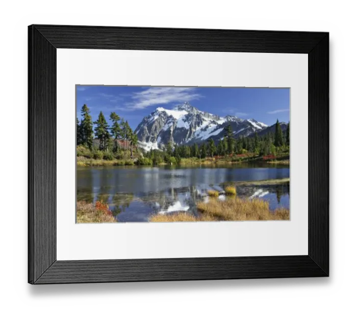Framed Print : North America, Washington, Cascades. Mt. Shuksan in the fall Framed Print : North America, Washington, Cascades. Mt. Shuksan in the fall