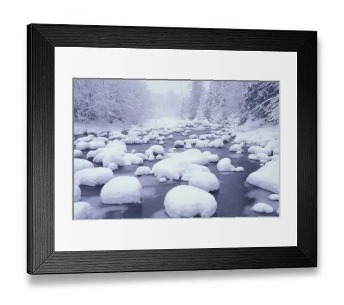 Framed Print : N. A. USA, Washington, Cascade Mountains, Fresh snow along Denny Creek Framed Print : N. A. USA, Washington, Cascade Mountains, Fresh snow along Denny Creek