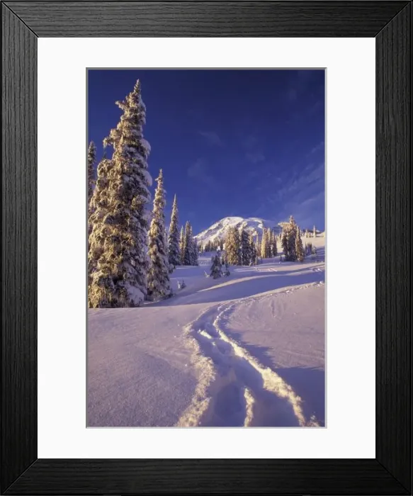 Framed Print : NA, USA, Washington, Mt. Rainier NP, Snowshoe tracks in the Paradise area