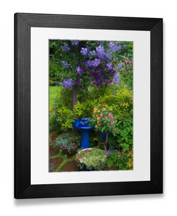Framed Print : Garden designs in our Garden Sammamish, Washington