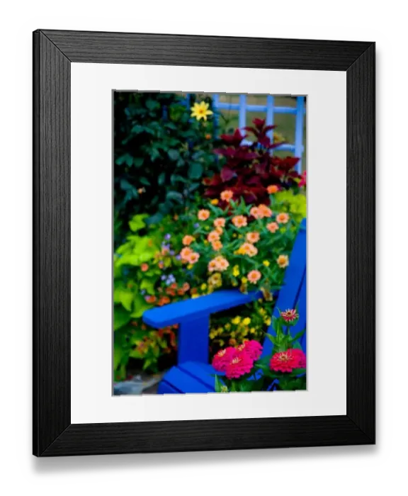 Framed Print : Garden designs in our Garden Sammamish, Washington Framed Print : Garden designs in our Garden Sammamish, Washington