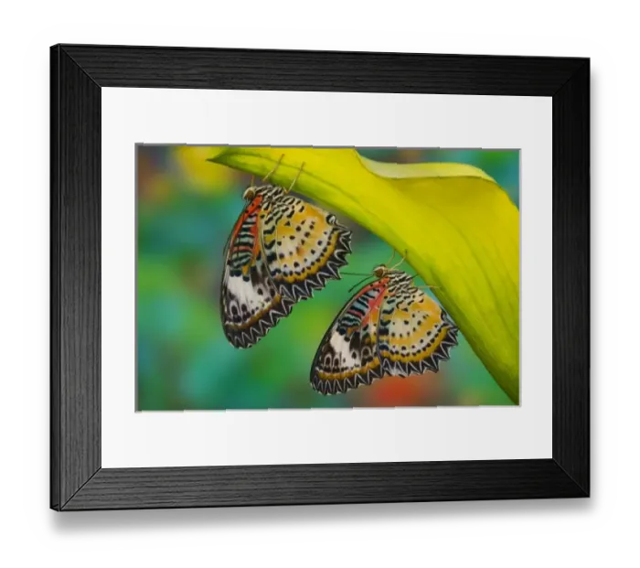Framed Print : USA, North America, Washington Framed Print : USA, North America, Washington