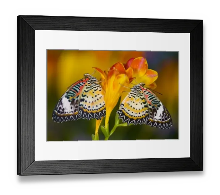 Framed Print : USA, North America, Washington Framed Print : USA, North America, Washington