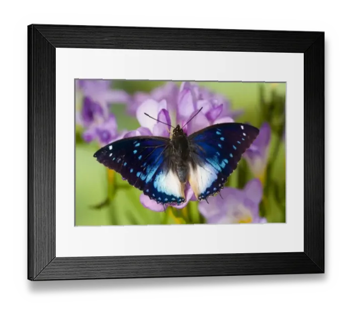 Framed Print : USA, North America, Washington Framed Print : USA, North America, Washington