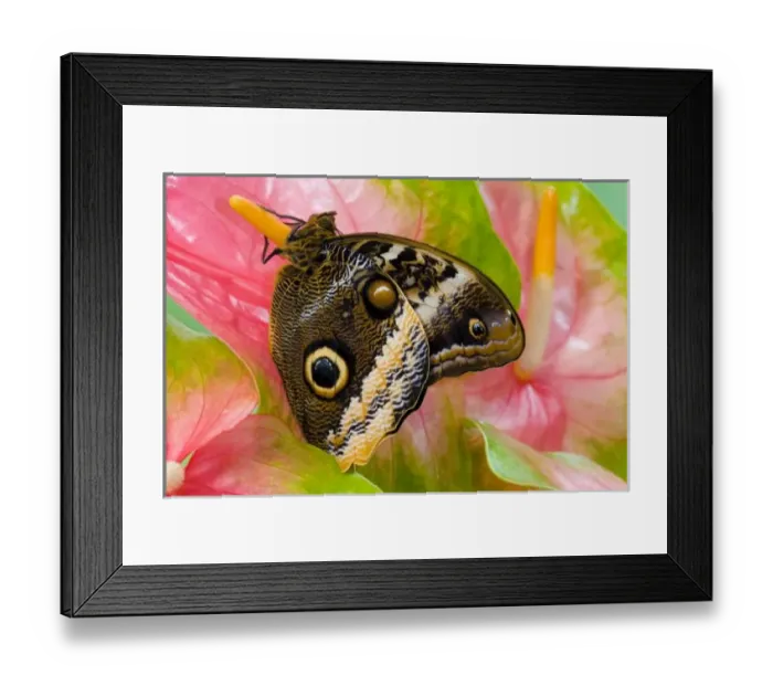 Framed Print : USA, North America, Washington Framed Print : USA, North America, Washington