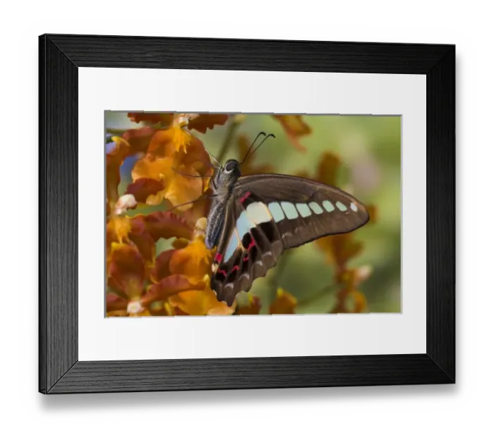 Framed Print : USA, North America, Washington Framed Print : USA, North America, Washington