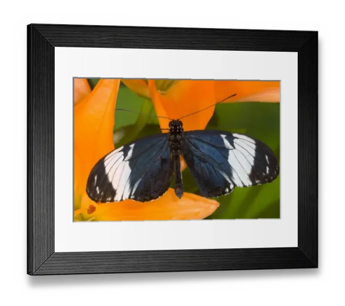 Framed Print : USA, North America, Washington Framed Print : USA, North America, Washington