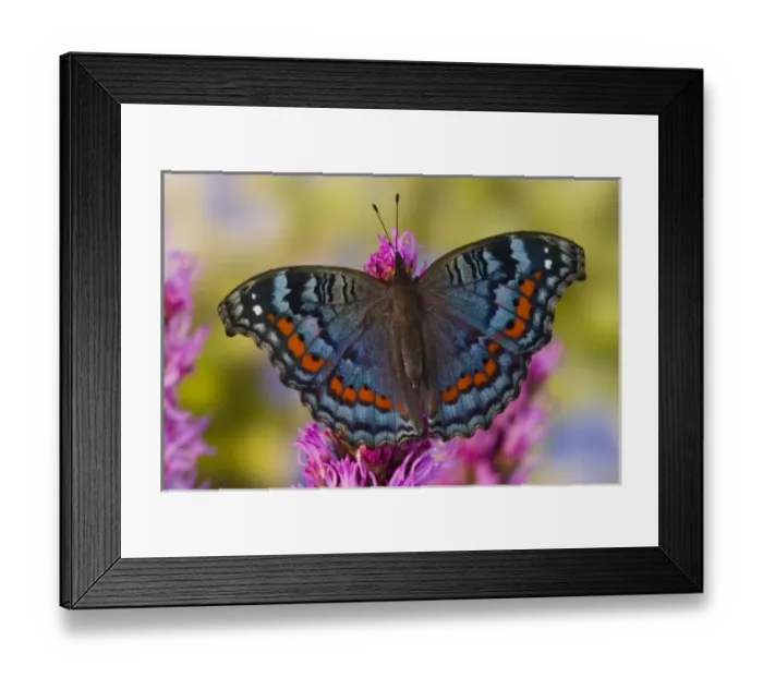 Framed Print : USA, North America, Washington Framed Print : USA, North America, Washington