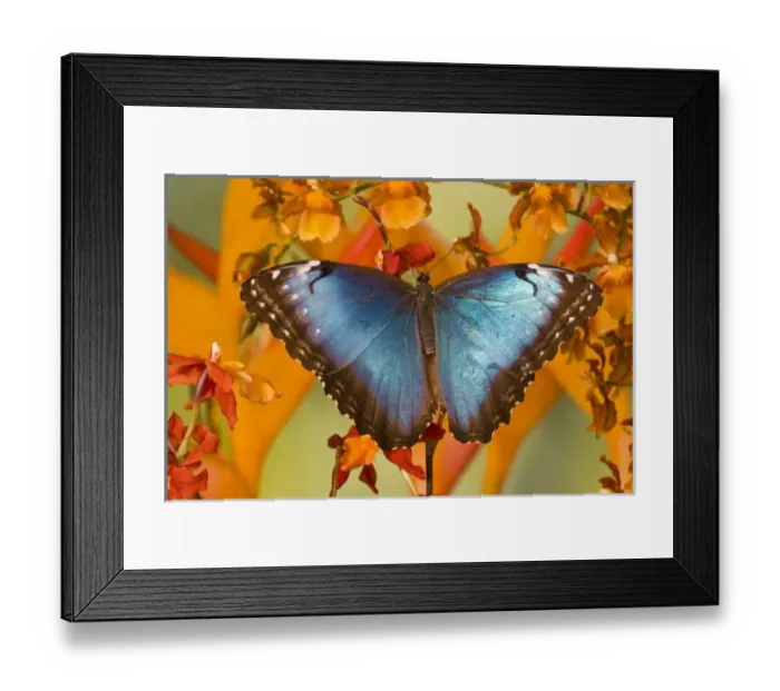 Framed Print : USA, North America, Washington Framed Print : USA, North America, Washington