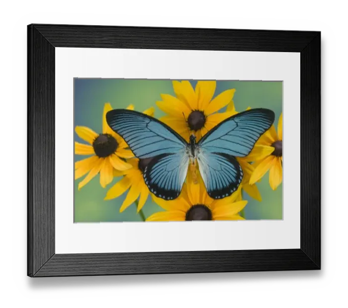 Framed Print : USA, North America, Washington