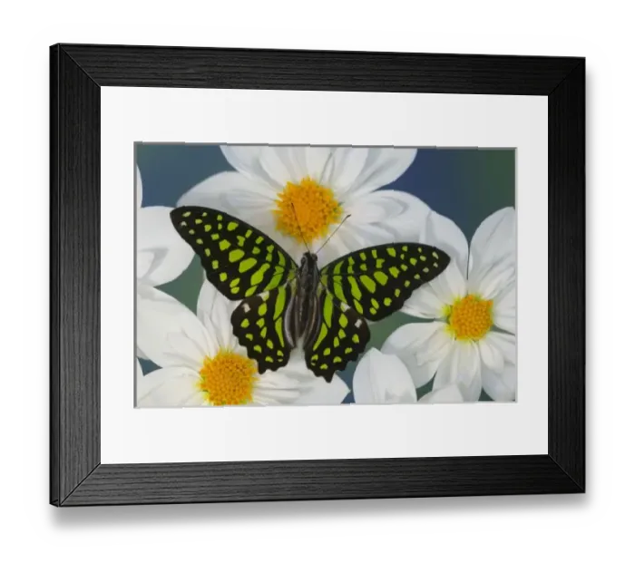 Framed Print : USA, North America, Washington Framed Print : USA, North America, Washington
