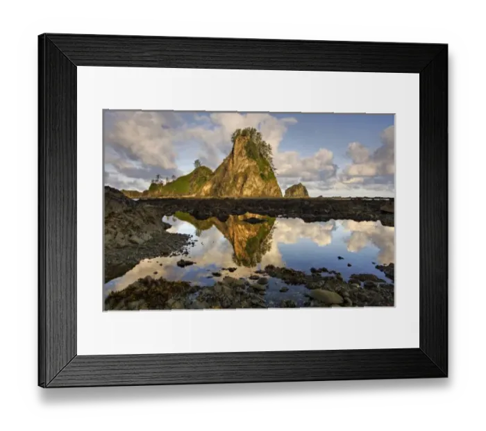 Framed Print : USA, Washington, Olympic National Park. A tidepool shows the reflection of the morning Framed Print : USA, Washington, Olympic National Park. A tidepool shows the reflection of the morning