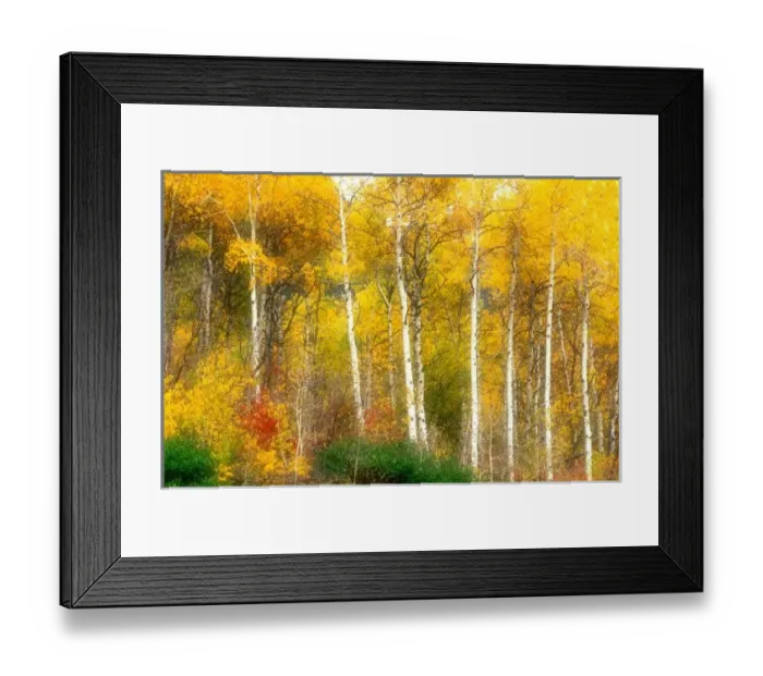 Framed Print : NA, USA, Washington Framed Print : NA, USA, Washington