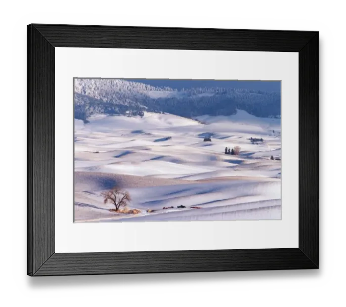 Framed Print : View from Steptoe Butte of rolling hills covered in winter snow in Whitman County
