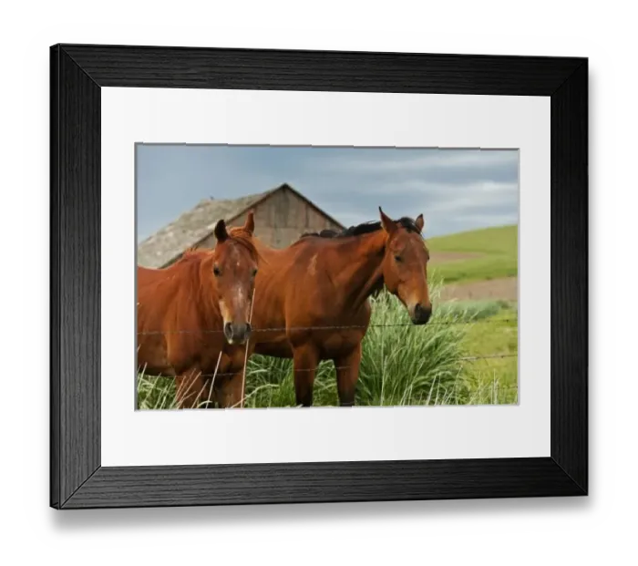 Framed Print : USA, North America, Washington