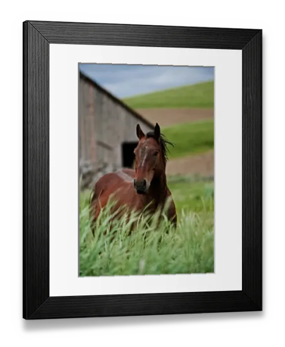 Framed Print : USA, North America, Washington