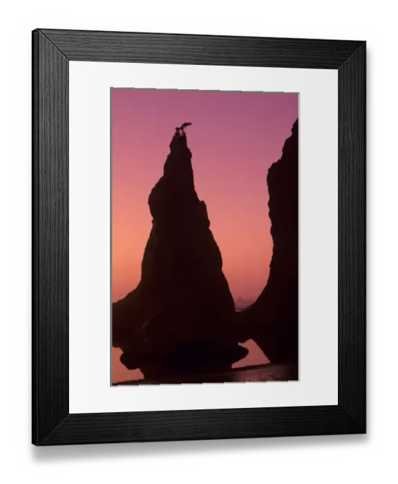 Framed Print : WA, Olympic NP, Rialto Beach at sunset