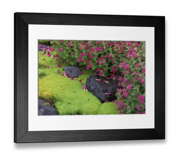 Framed Print : North America Framed Print : North America