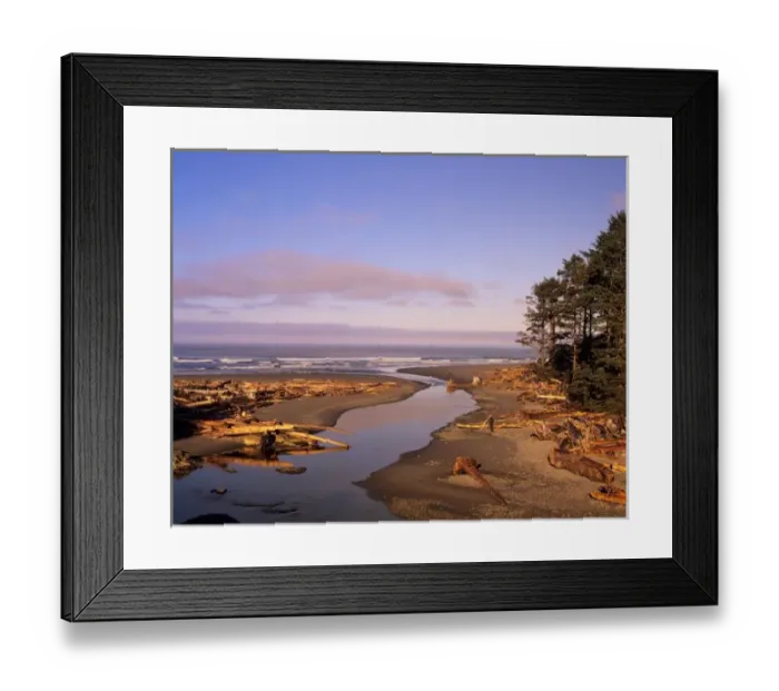 Framed Print : WA, Olympic NP, Kalaloch Beach and Kalaloch Creek