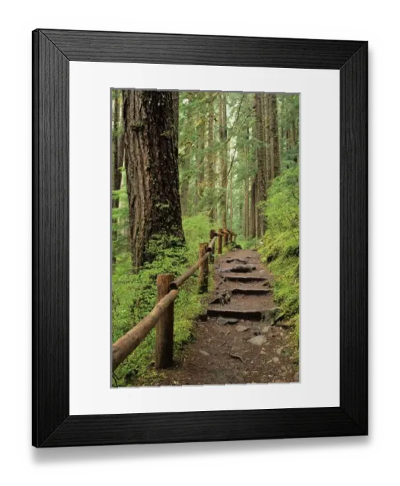 Framed Print : WA, Olympic NP Framed Print : WA, Olympic NP