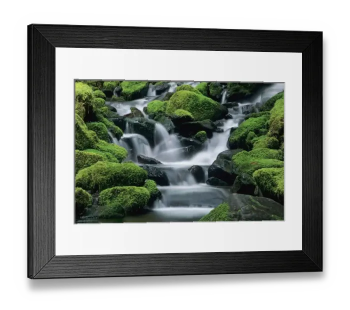Framed Print : WA, Olympic NP, Sol Duc Valley, stream with mossy rocks Framed Print : WA, Olympic NP, Sol Duc Valley, stream with mossy rocks